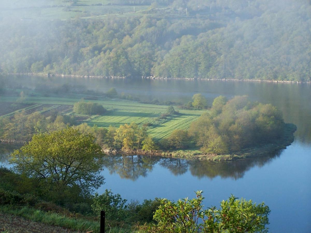 O Fil De L'Eau - Gite En Bord De Lac Saint-Jean-Saint-Maurice-sur-Loire 外观 照片