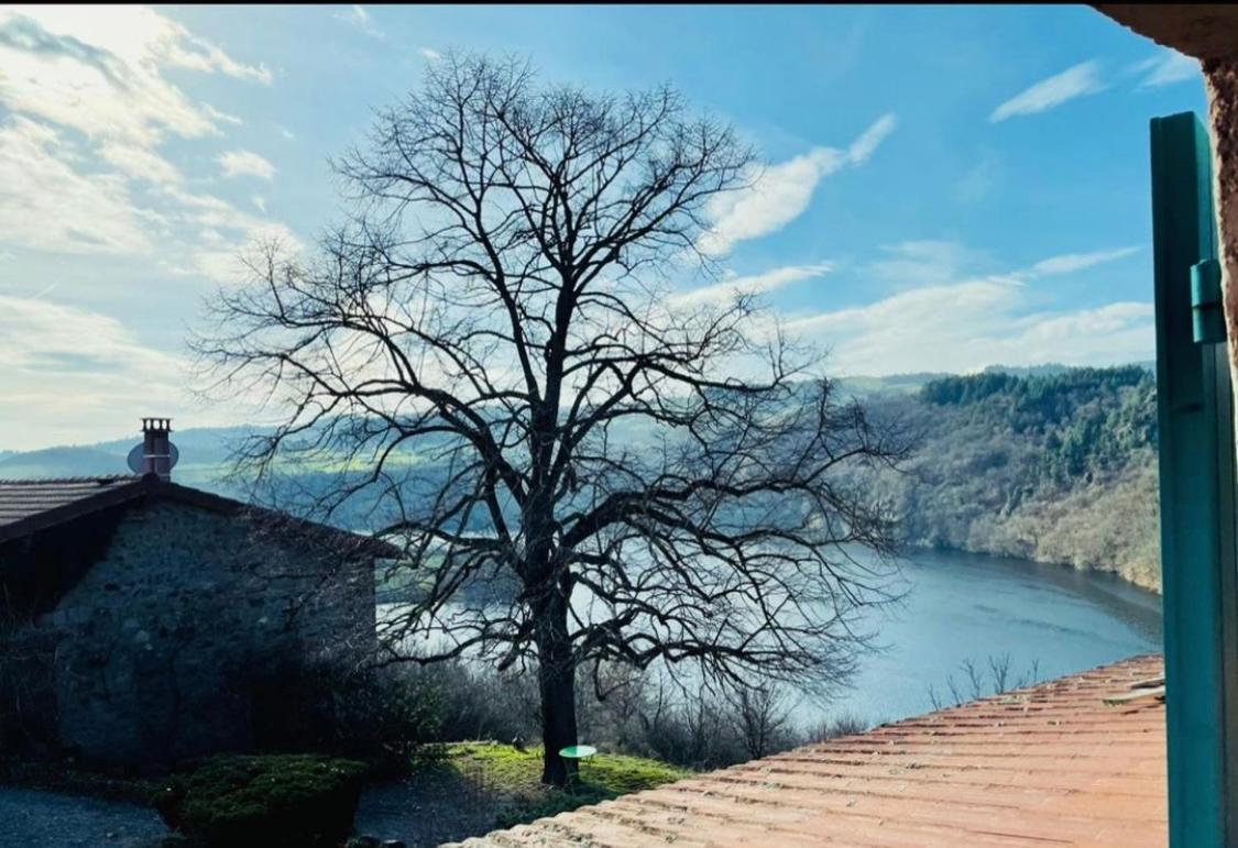 O Fil De L'Eau - Gite En Bord De Lac Saint-Jean-Saint-Maurice-sur-Loire 外观 照片